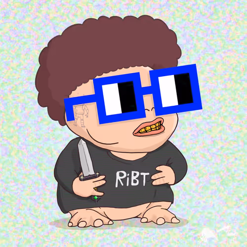 Ribt 1