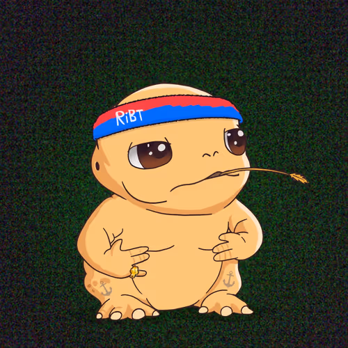 Ribt 1