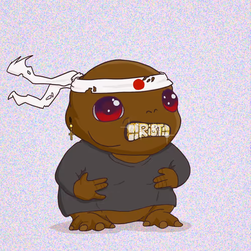 Ribt 1