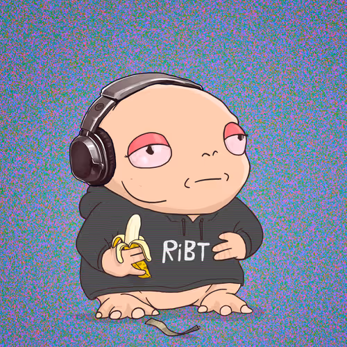 Ribt 1