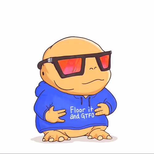 Ribt 1