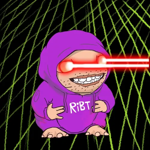 Ribt 1