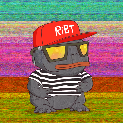 Ribt 1