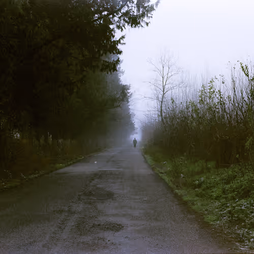 Wander #3/399