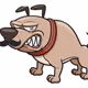 angry dog