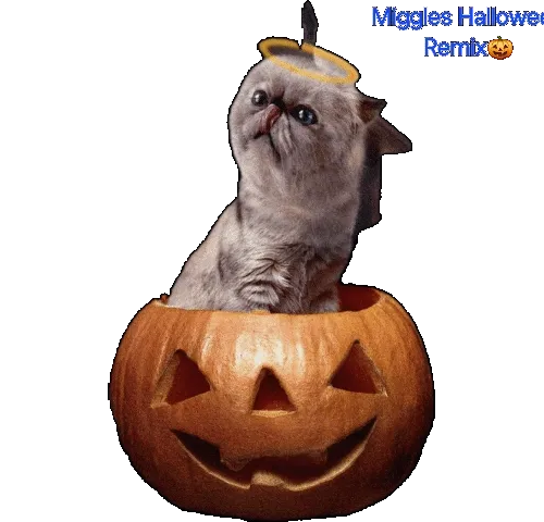 Miggles Halloween Remix #20