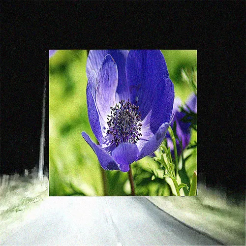 Item #13 Media