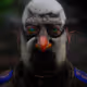 229