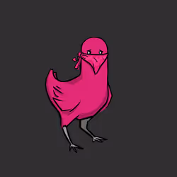 41
