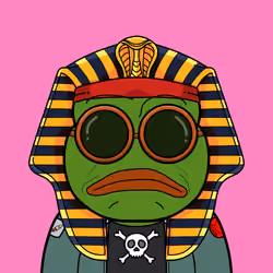 RPEPE #3105