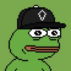 6296