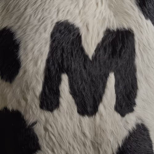 Item #17 Media