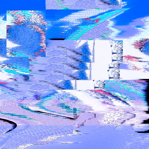 Item #51 Media