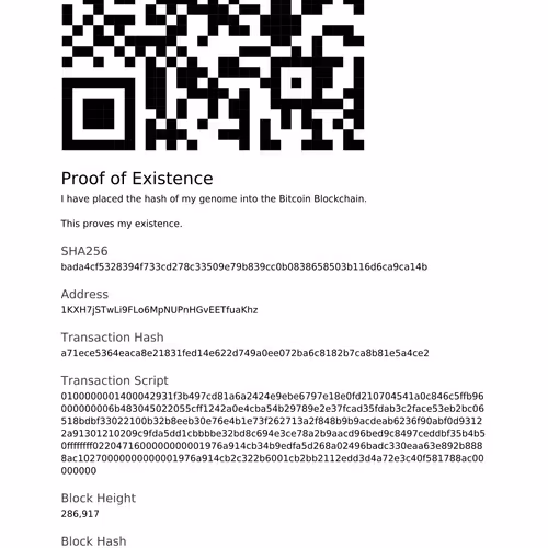 Proof Of Existence By Rhea Myers