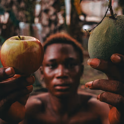 "The Orchard Owner's Harvest"