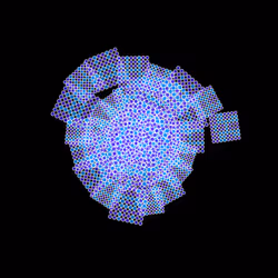5007