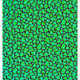 67
