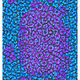 69