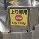 Rodeo posts