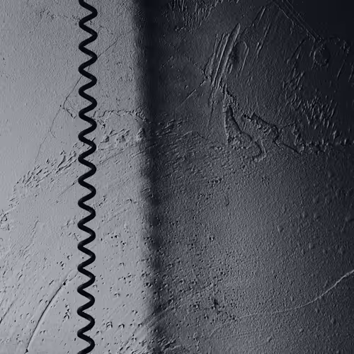 _remains
