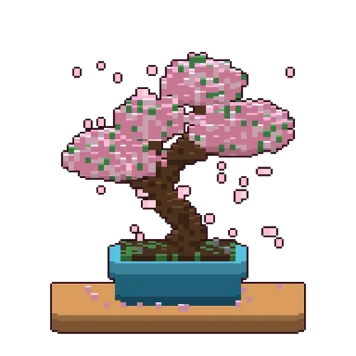 bonsai