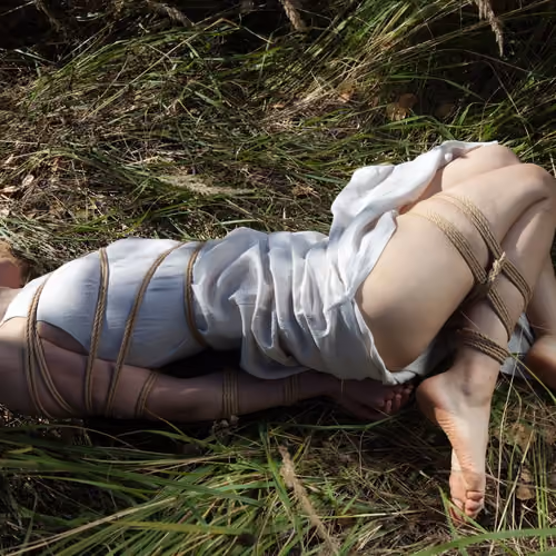 Ropes and Reveries