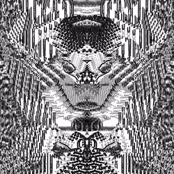 51
