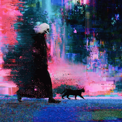 Cat Walk