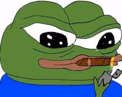 PEPE PASS 1