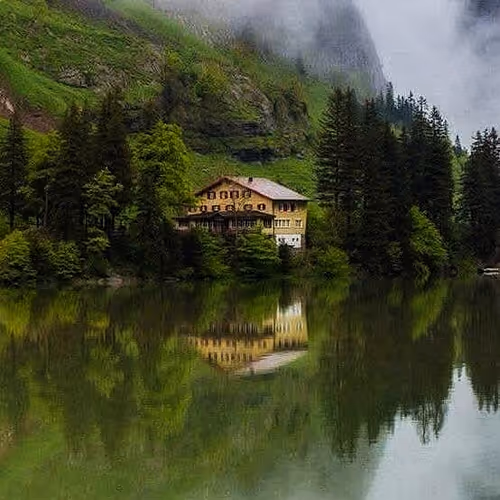 Living In Nature 1