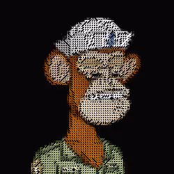 41