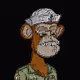 41