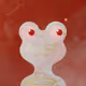 343