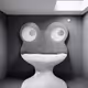 509