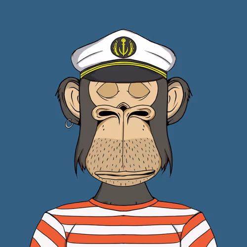 Mad Monkey Sea Club