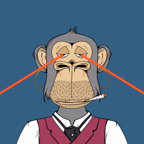 Mad Monkey Sea Yc