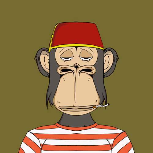 Mad Monkey Sea Yc