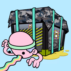 66