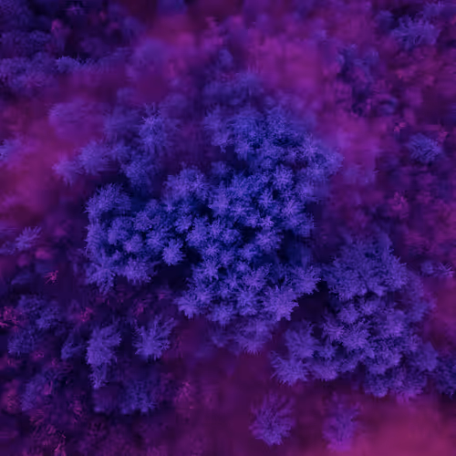 INVISIBLE EARTH 006 //