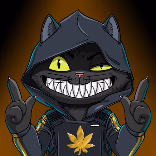Mars Cats Snipers #62