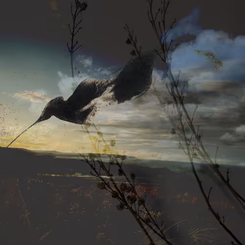 Far Away 13
