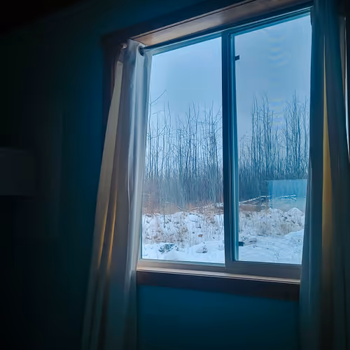Winter S Cry
