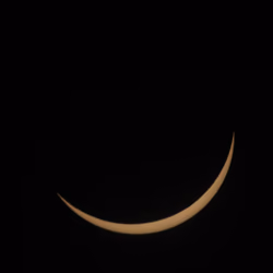 MOON:BEAM 0434