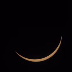 MOON:BEAM 0431