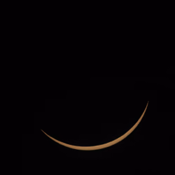 MOON:BEAM 0421