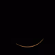 28019