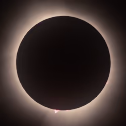 MOON:BEAM 0386
