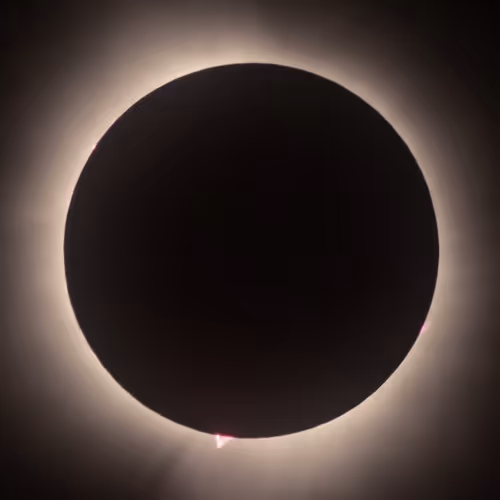 Moonbeamproject