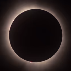 25529