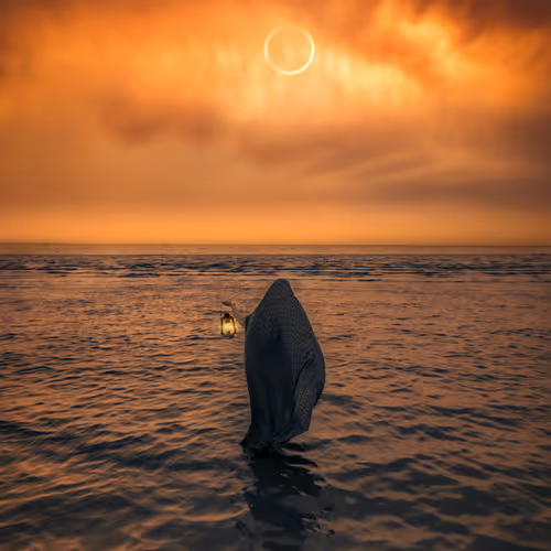 solar eclipse #19